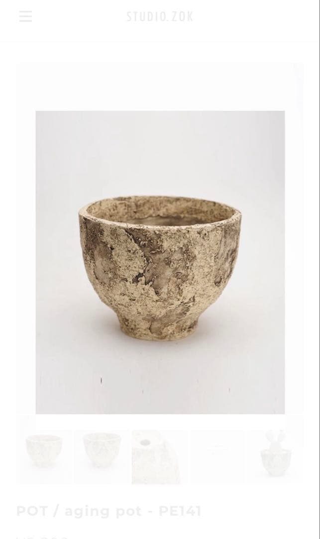 STUDIO ZOK 陶植 グラキリス　大