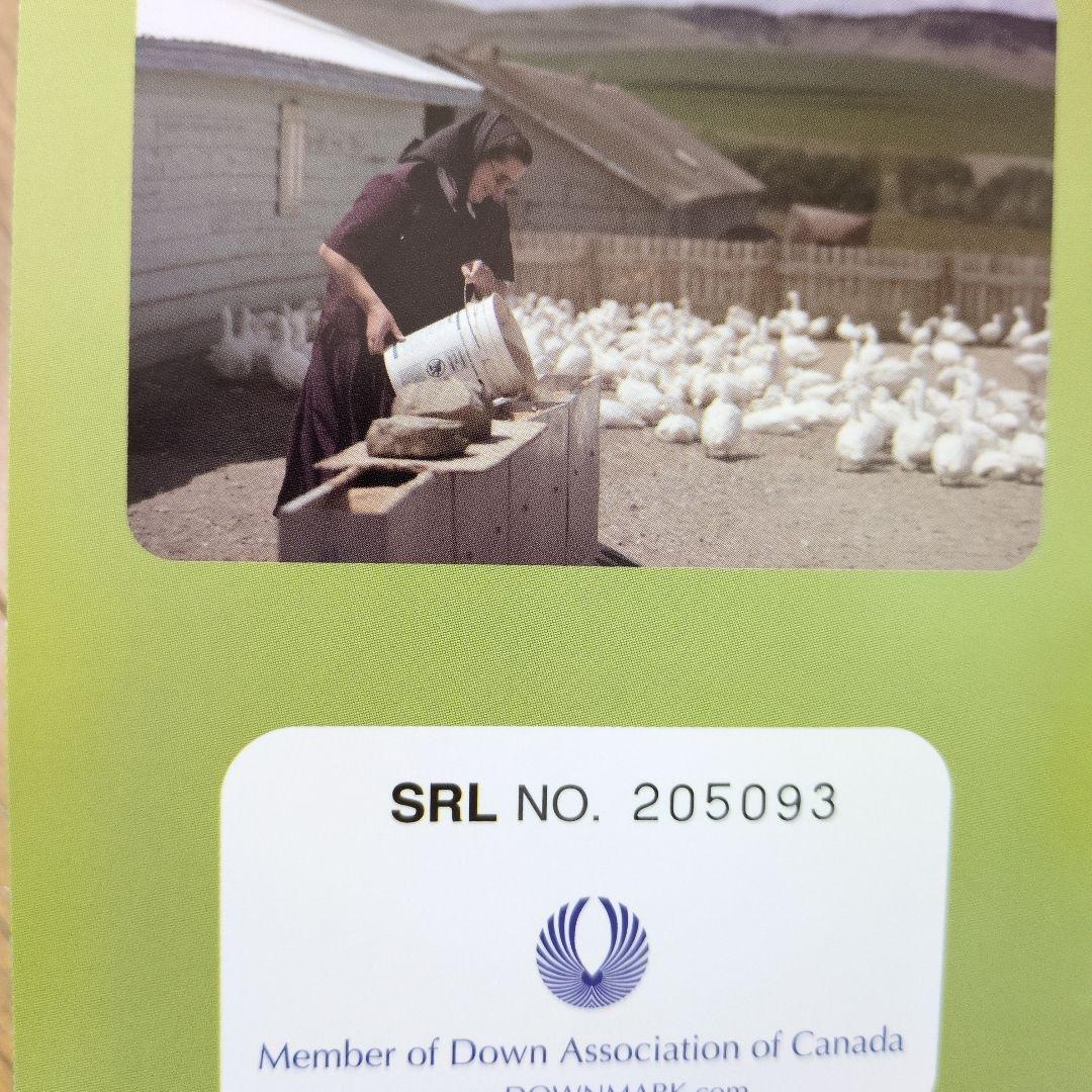 たけ　羽毛布団dp440希少カナダ産マザーグース1.3kg超長綿100%