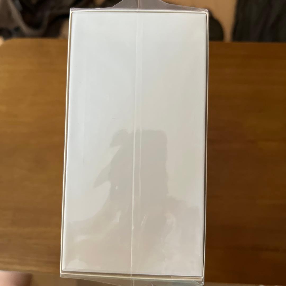 新品未開封サガ30周年記念BOX神 ダウンロードコードは期限切れ