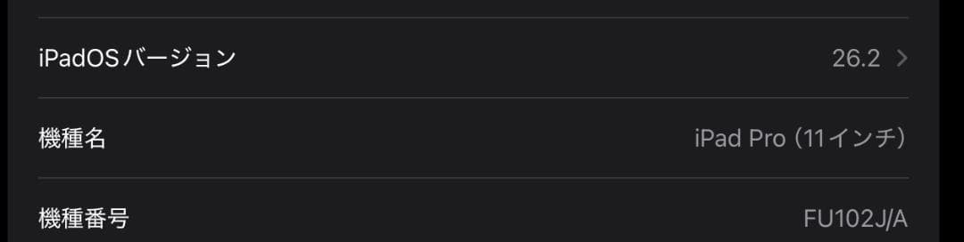 【難あり】iPadPro 11インチ（2018モデル）256GB セルラー