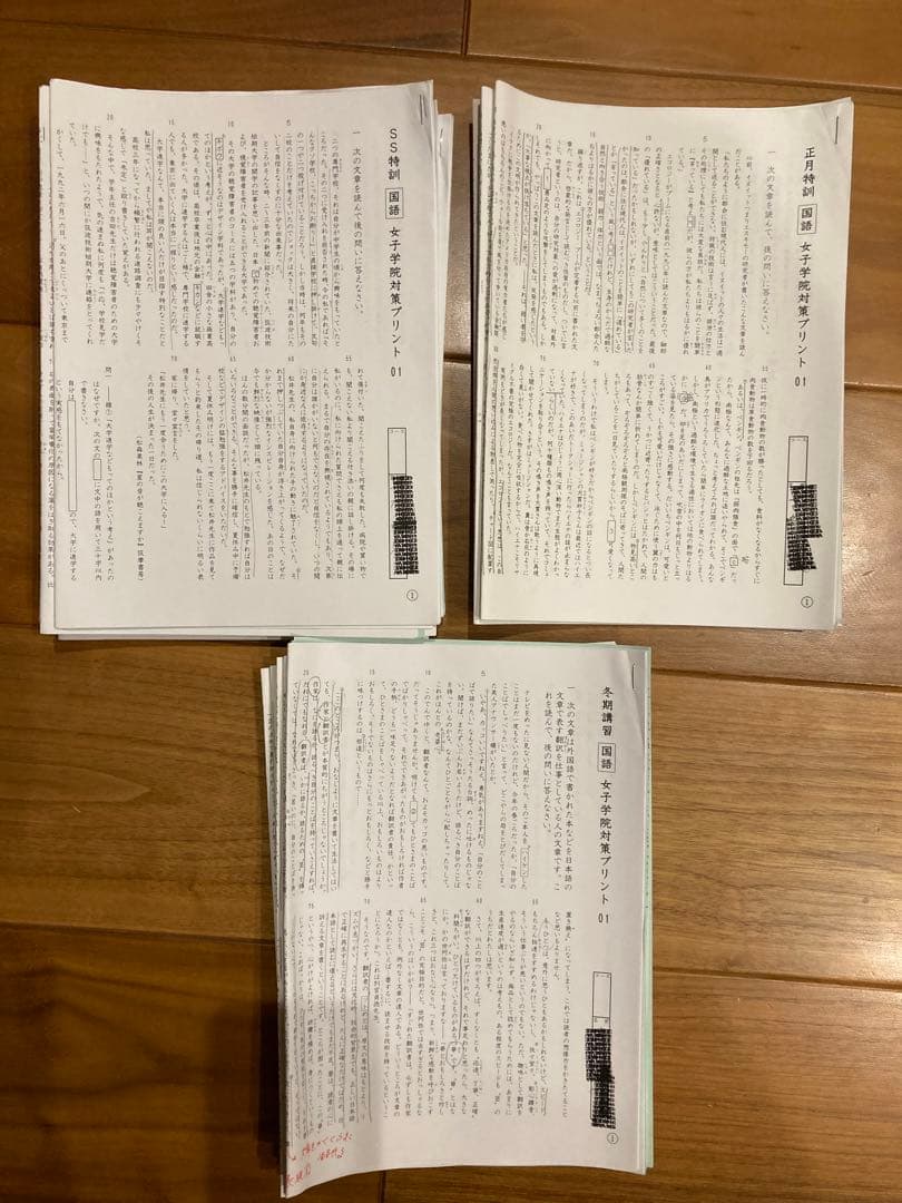 SAPIX 　サピックス　女子学院対策プリント　国語一式　全24回分