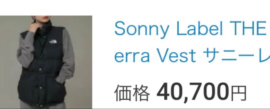 アリエル♡L♪•新品未使用THENORTH FACEブラックダウンベスト