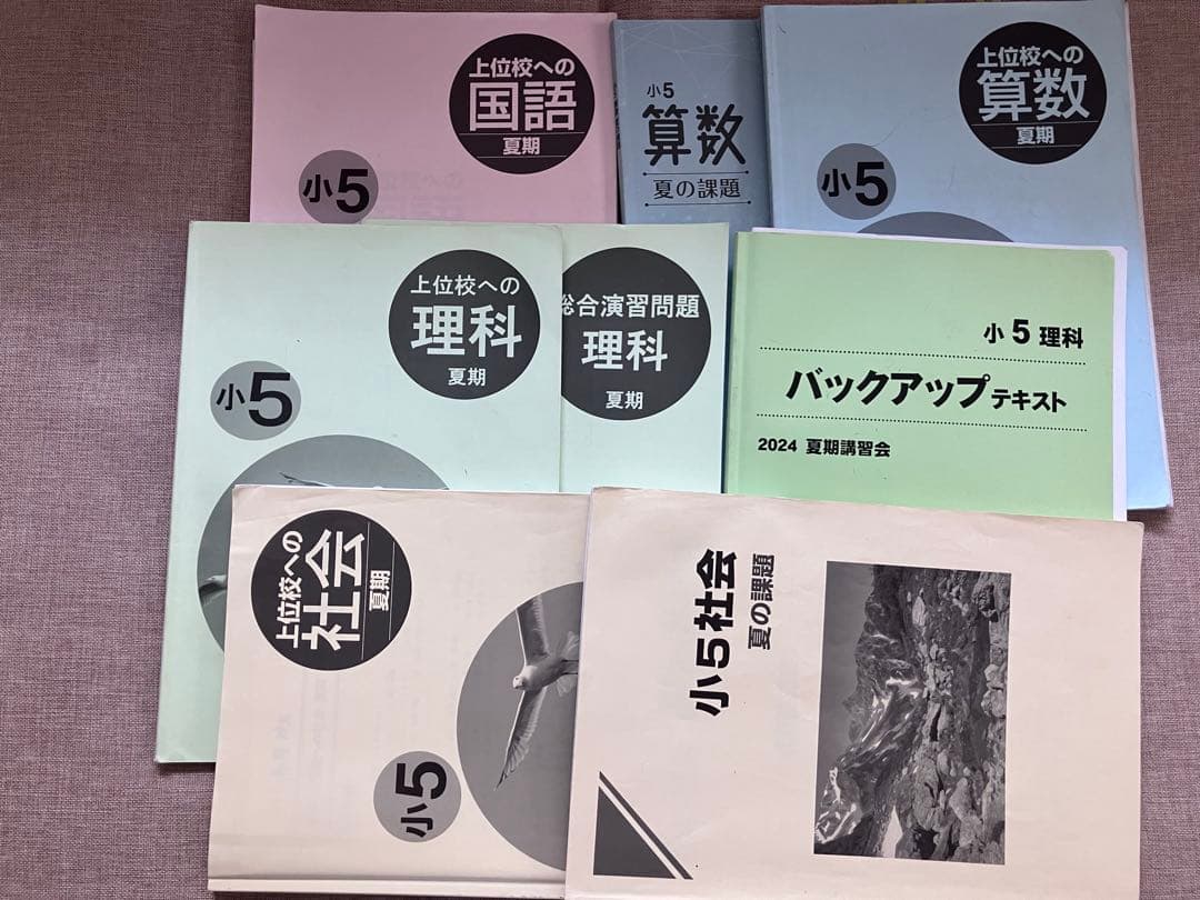 2026年受験済早稲田アカデミー小5 夏期講習会四科