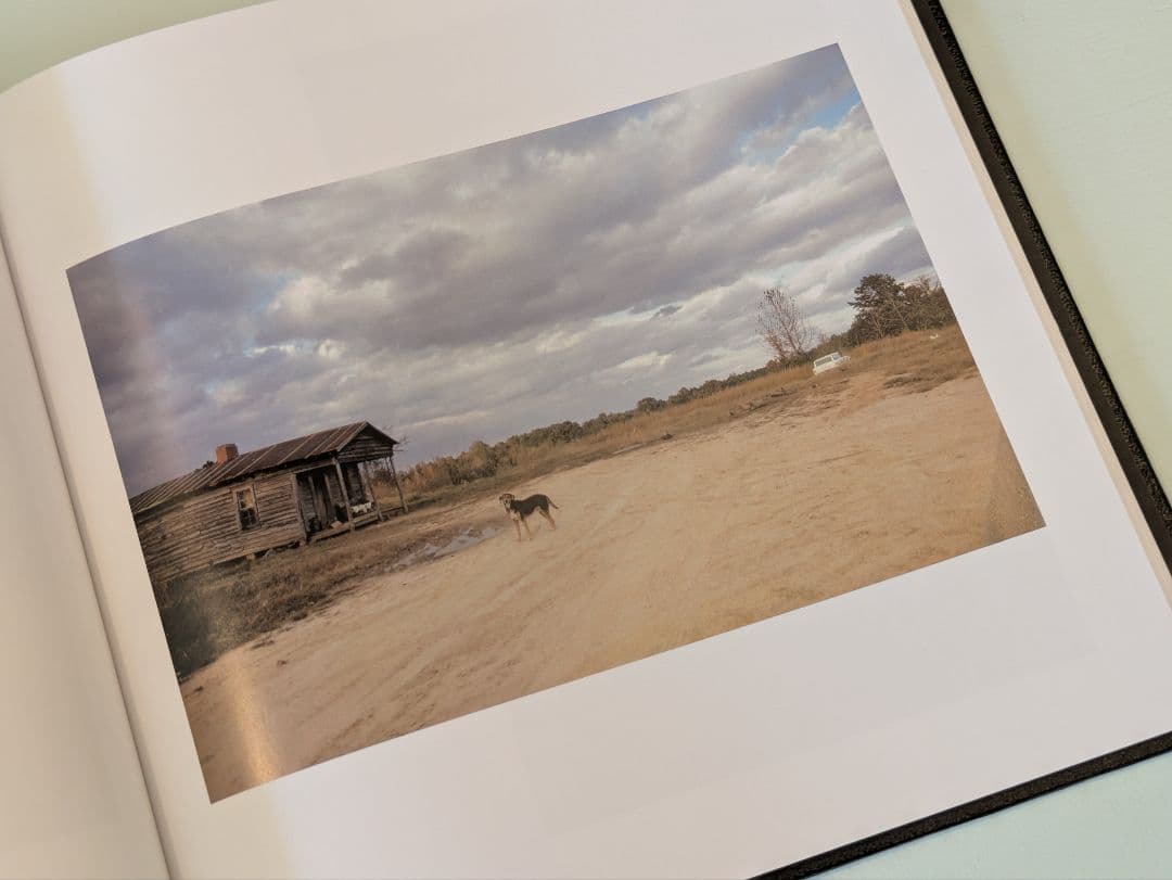 【新品】William Eggleston's Guide / エグルストン