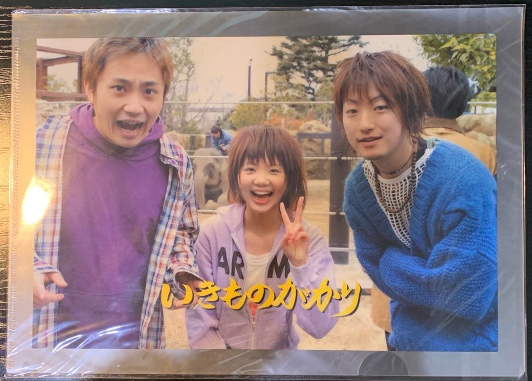 いきものがかり　パンフレット　その他