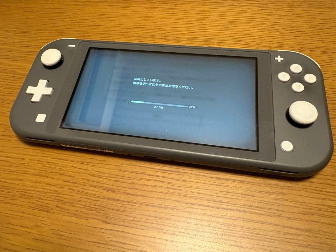 Nintendo Switch Lite グレー 充電器付き【箱無し】