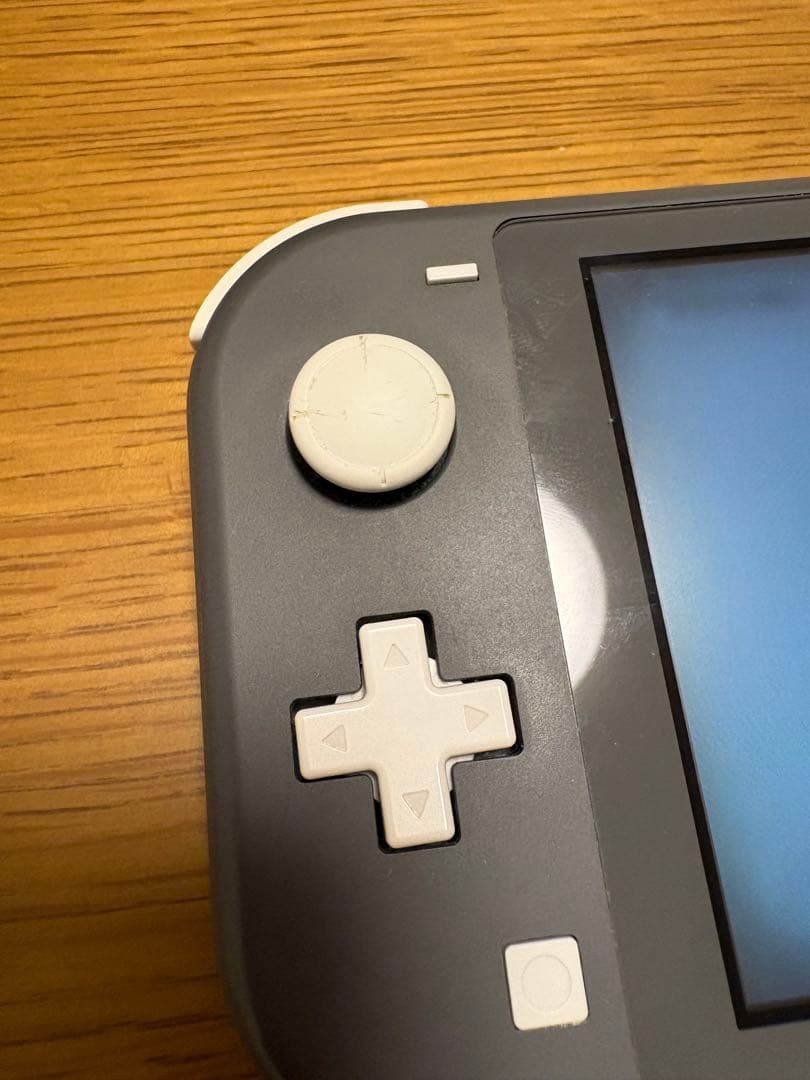 Nintendo Switch Lite グレー 充電器付き【箱無し】