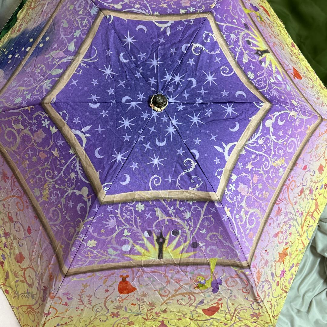 K*u様 東京ディズニーリゾート　塔の上のラプンツェル