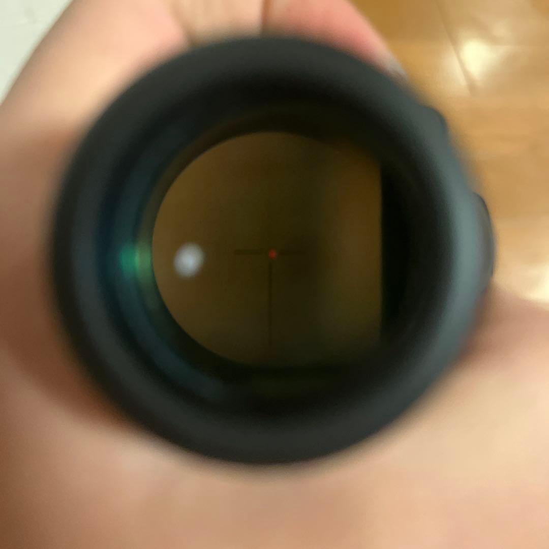 Trijicon ACOG 光学サイト ブラック