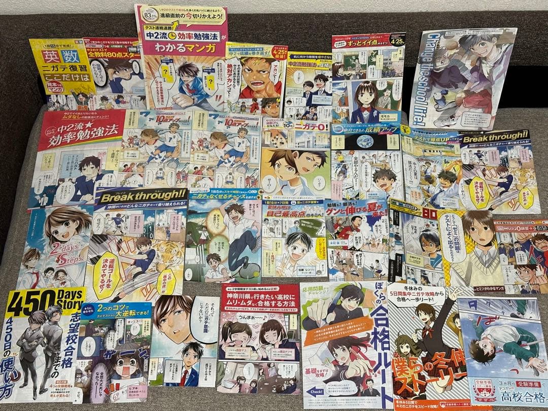 ベネッセ 進研ゼミ チャレンジ ダイレクトメール DM 漫画 中学生版