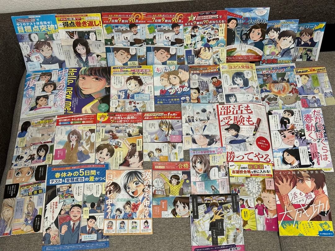 ベネッセ 進研ゼミ チャレンジ ダイレクトメール DM 漫画 中学生版