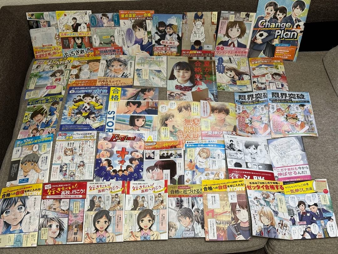 ベネッセ 進研ゼミ チャレンジ ダイレクトメール DM 漫画 中学生版