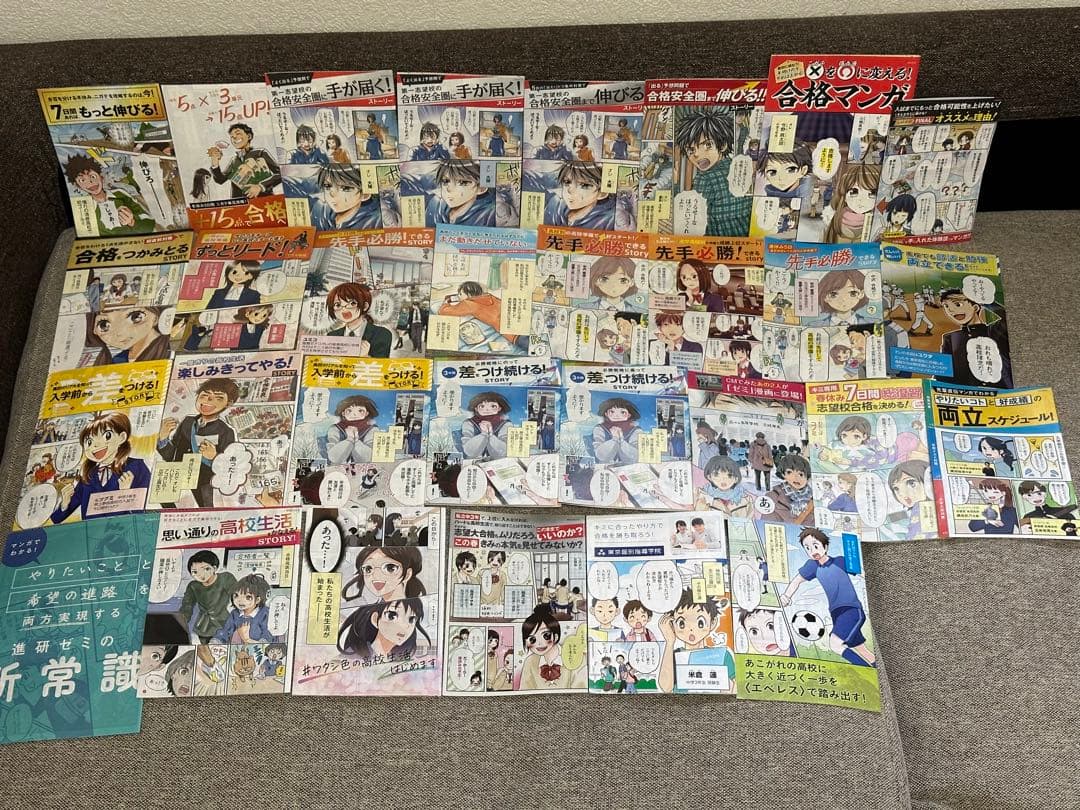 ベネッセ 進研ゼミ チャレンジ ダイレクトメール DM 漫画 中学生版