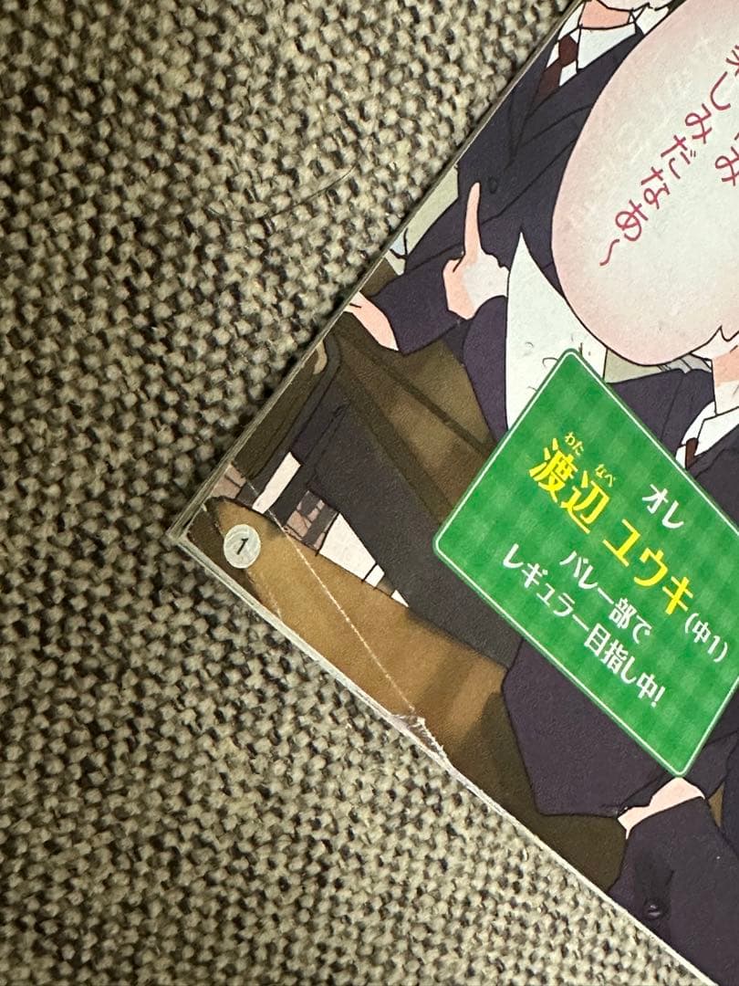 ベネッセ 進研ゼミ チャレンジ ダイレクトメール DM 漫画 中学生版