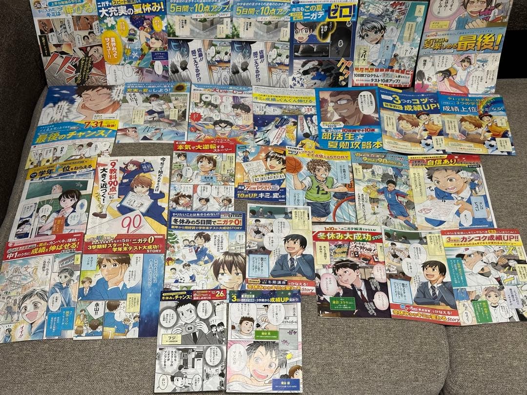 ベネッセ 進研ゼミ チャレンジ ダイレクトメール DM 漫画 中学生版