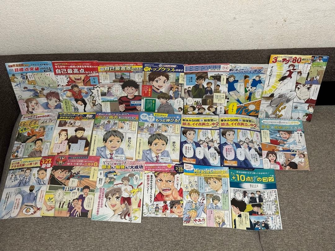 ベネッセ 進研ゼミ チャレンジ ダイレクトメール DM 漫画 中学生版