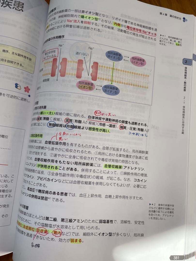 第109回薬剤師国家試験　薬学ゼミナール　青本　青問