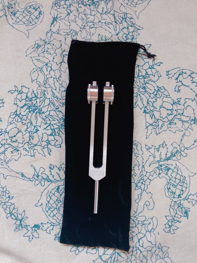 バイオソニック　EARTH 136.1Hz　専用ケース付き