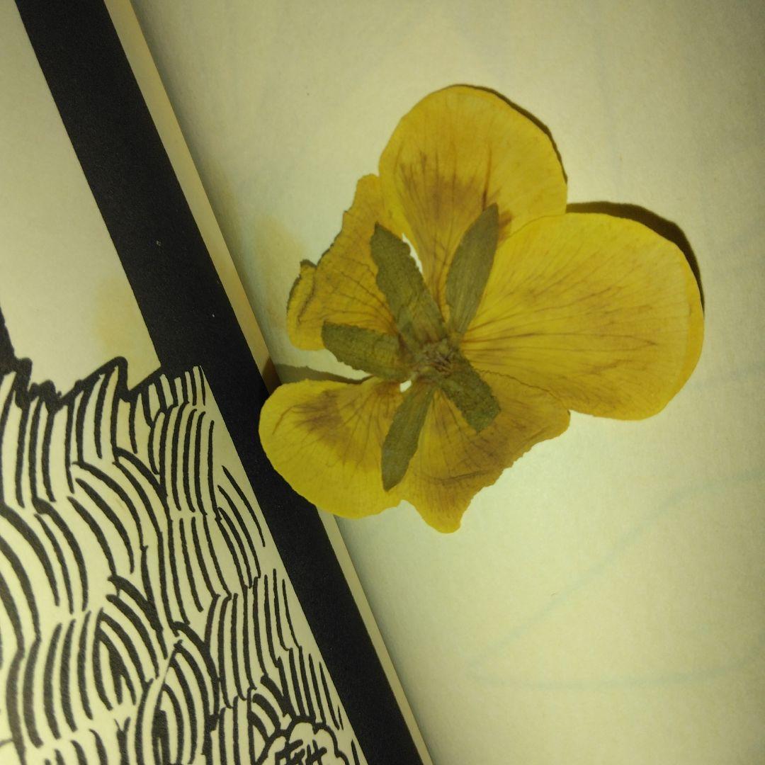 小さな雲の詩 やなせたかし 詩画集 サンリオ出版 絶版 希少 帯あり カバーあり