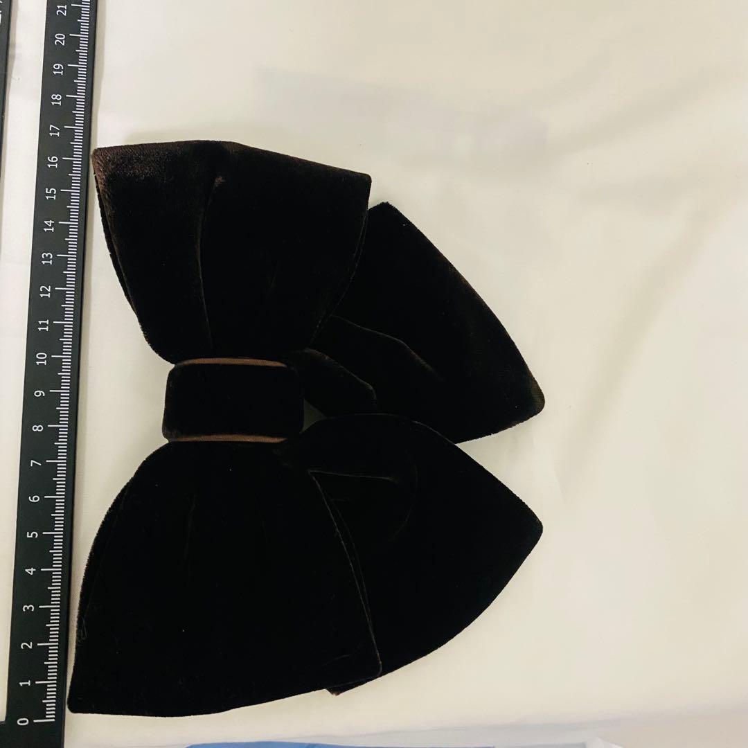 ALEXANDRE DE PARIS アレクサンドルドゥパリ　ベロア　バレッタ