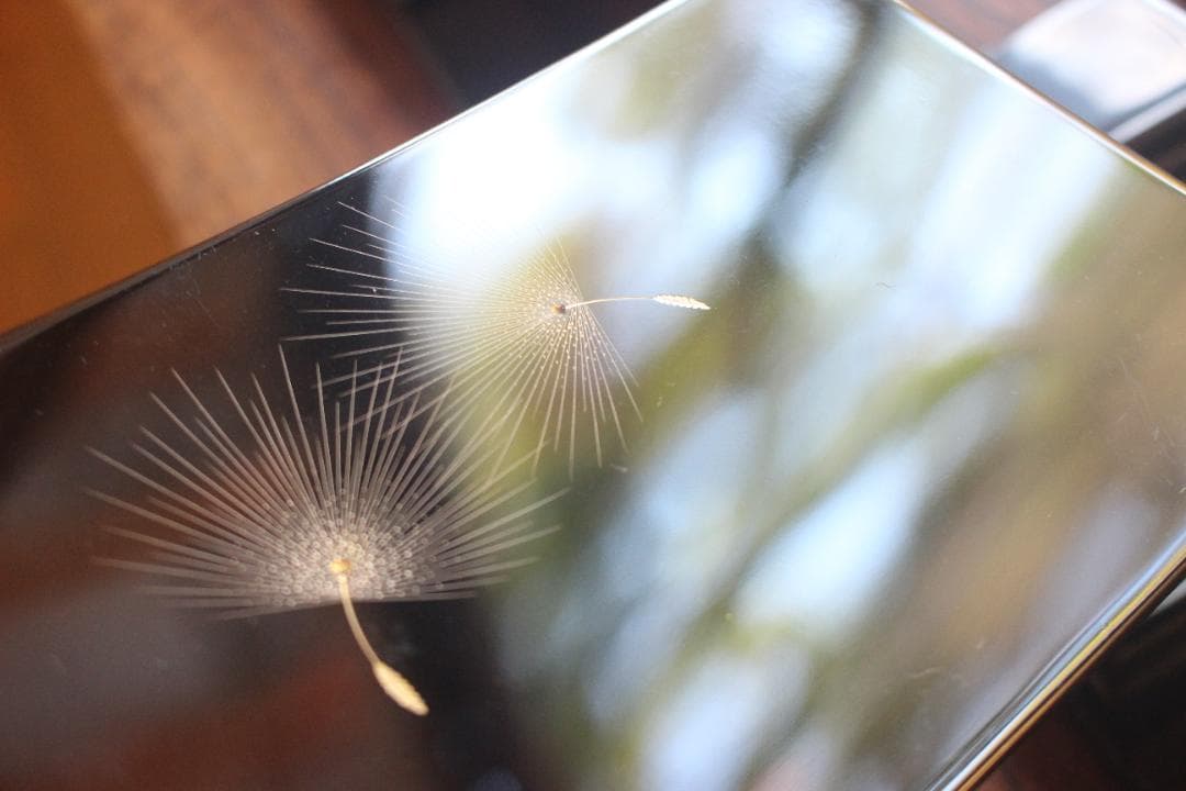 デッドストック！上質黒漆に極上綿毛沈金の映える銘々皿5点（検輪島塗菓子皿小皿