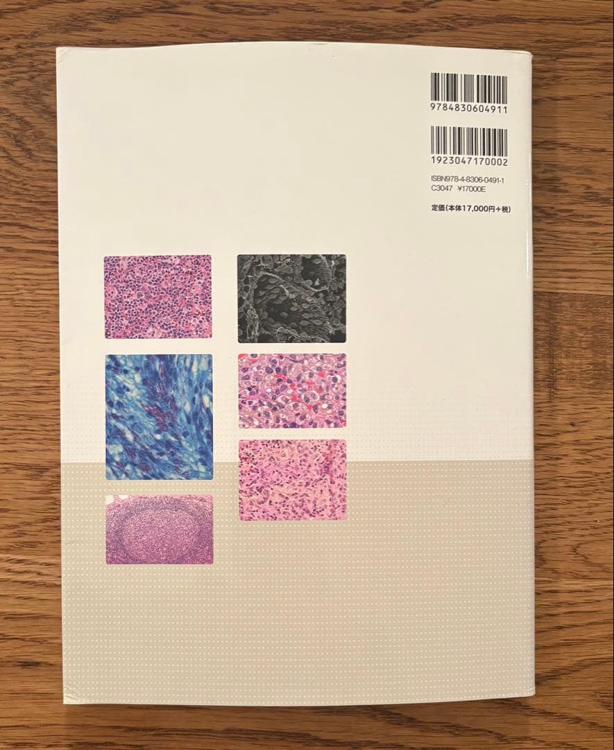 非腫瘍性疾患病理アトラス　リンパ組織