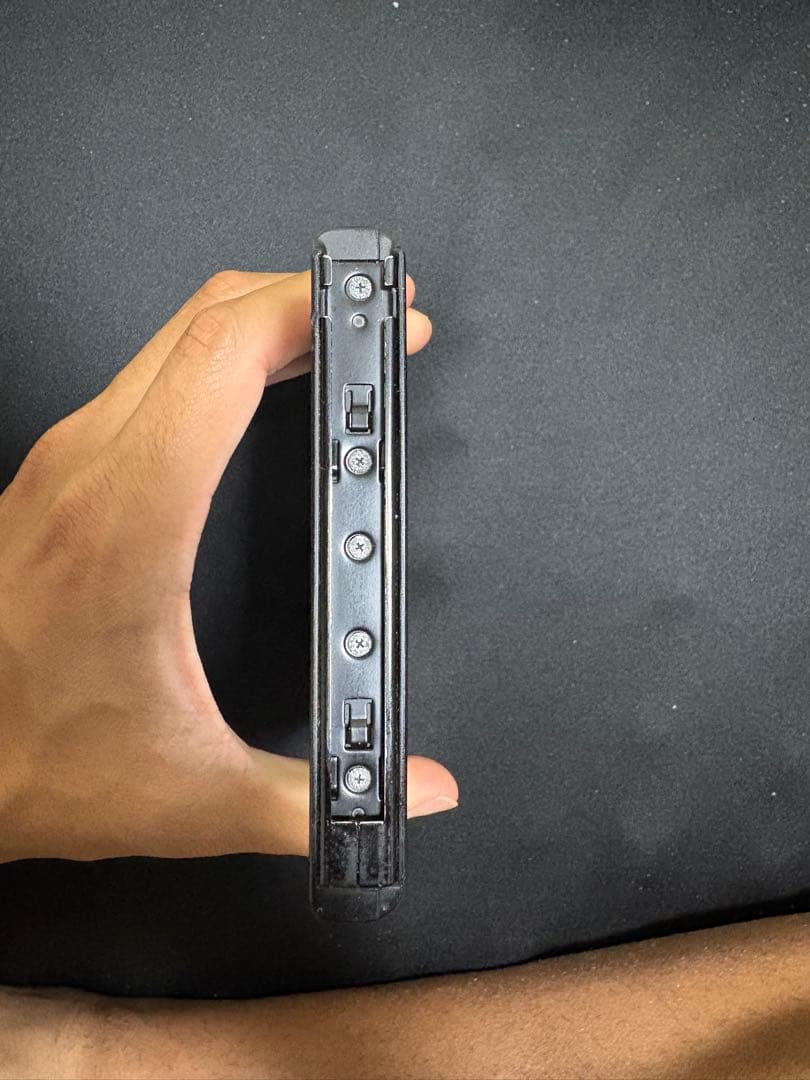 Nintendo Switch 画面のみ