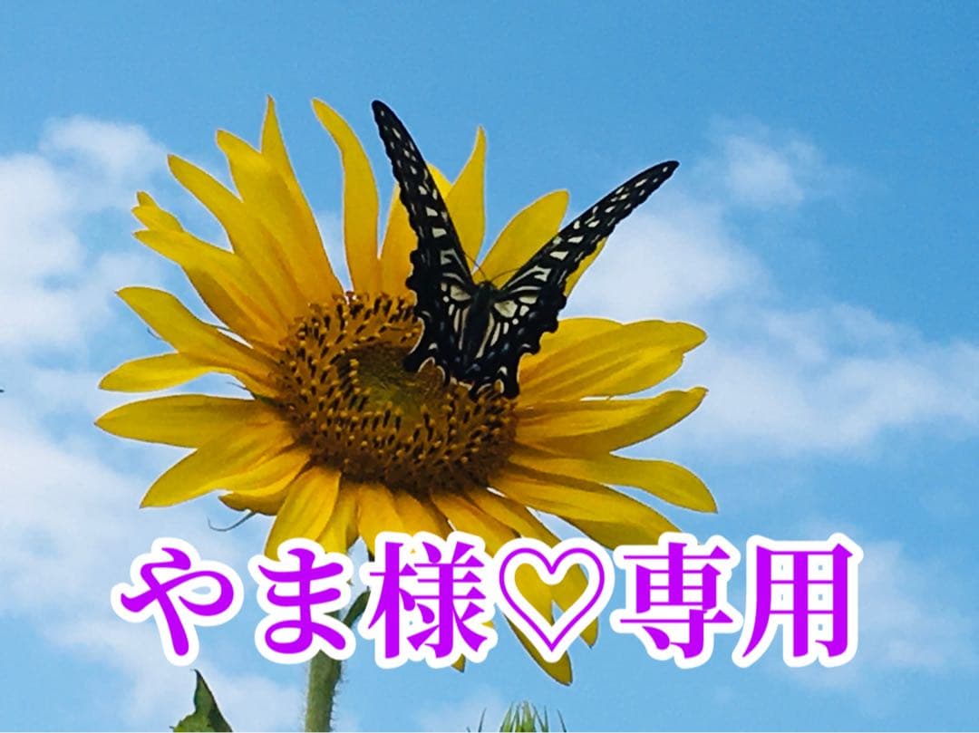やま様❤️おまとめ専用ページです。2/8まで♡
