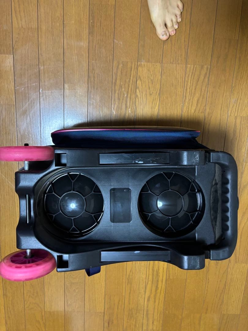 ブランズイックボウリングバック