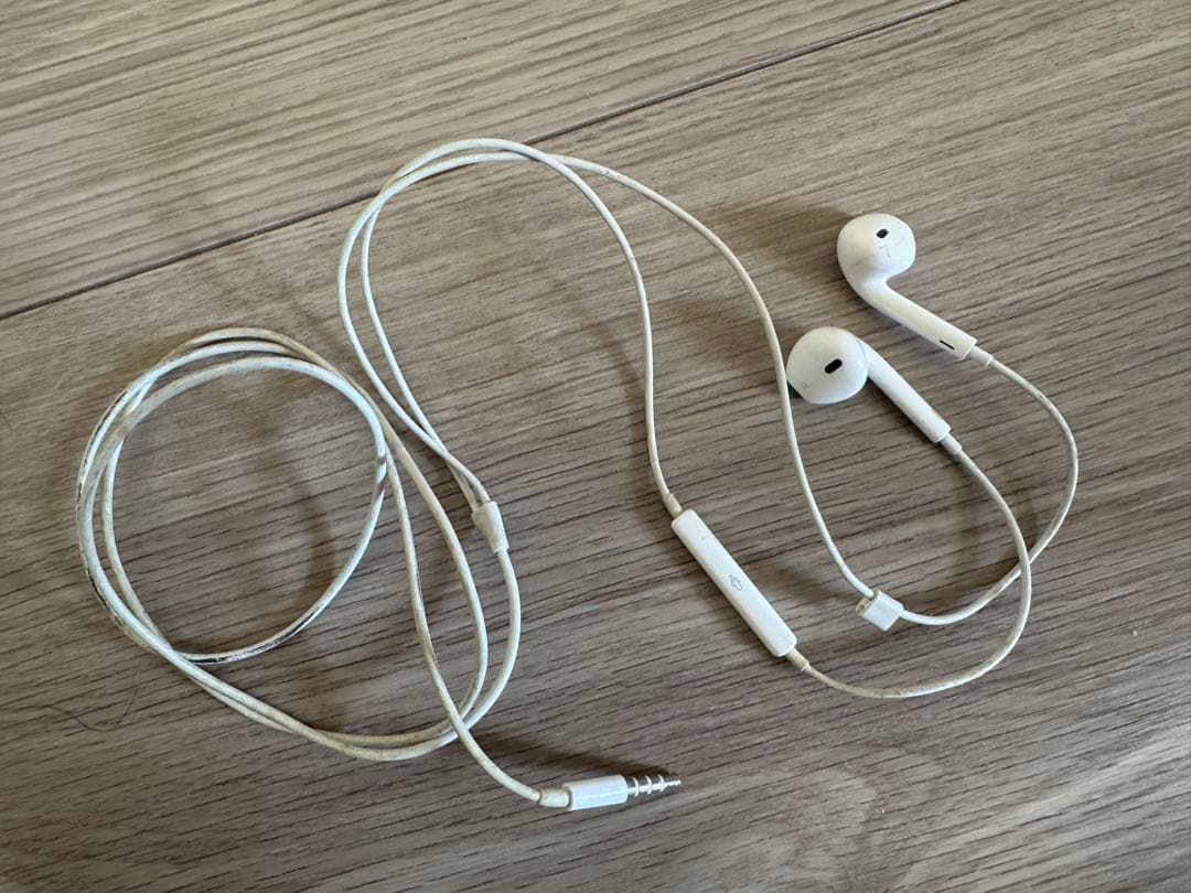 【動作確認済】iPod A1019 Touch Wheel 10GB 箱付き