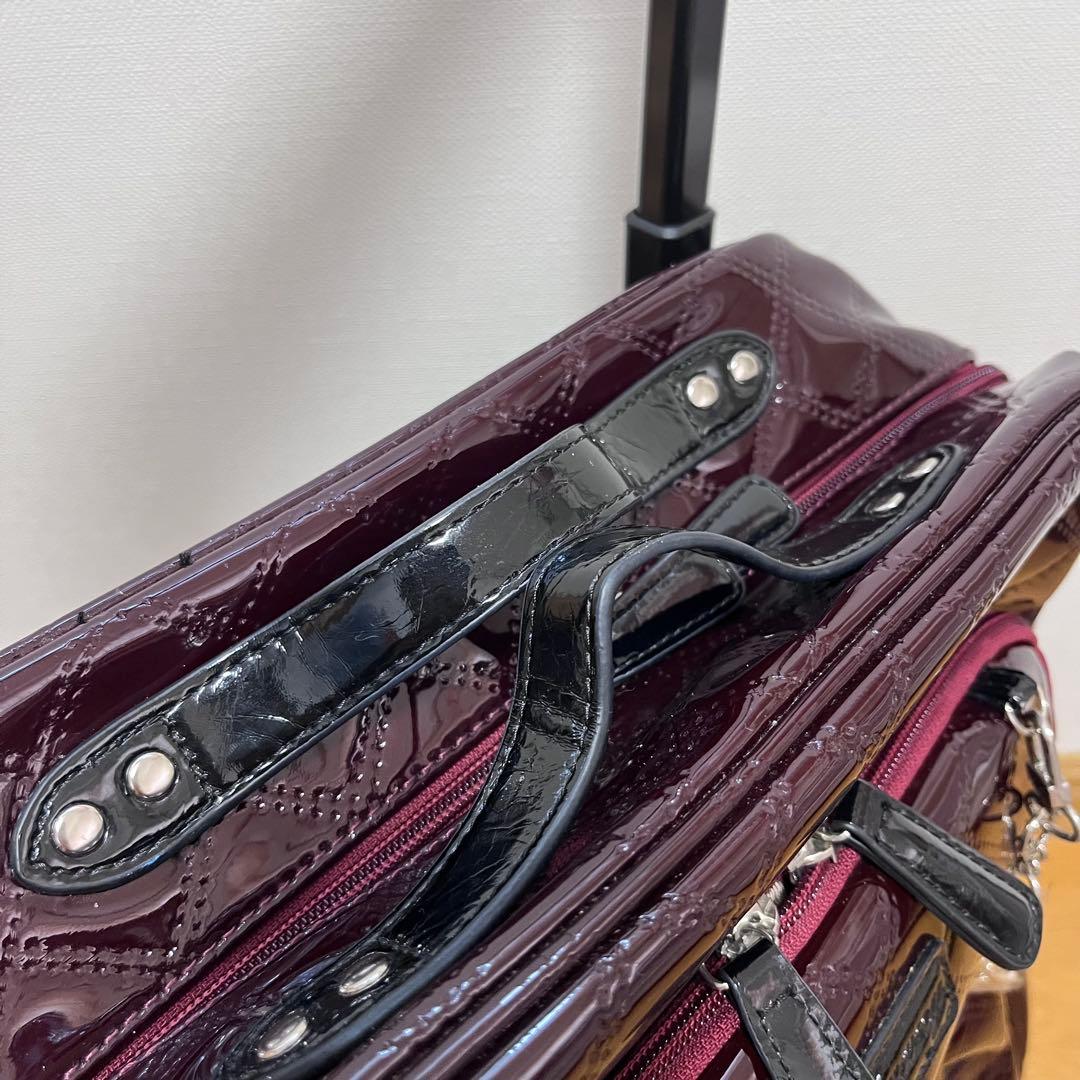 SWANY スワニー エマイロ　ボルドー　キャリー　ショッピング