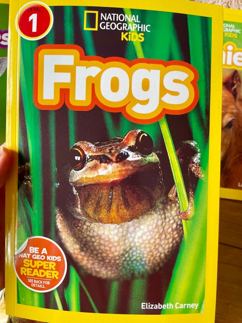 National Geographic Kids L1-3英語絵本125冊セット