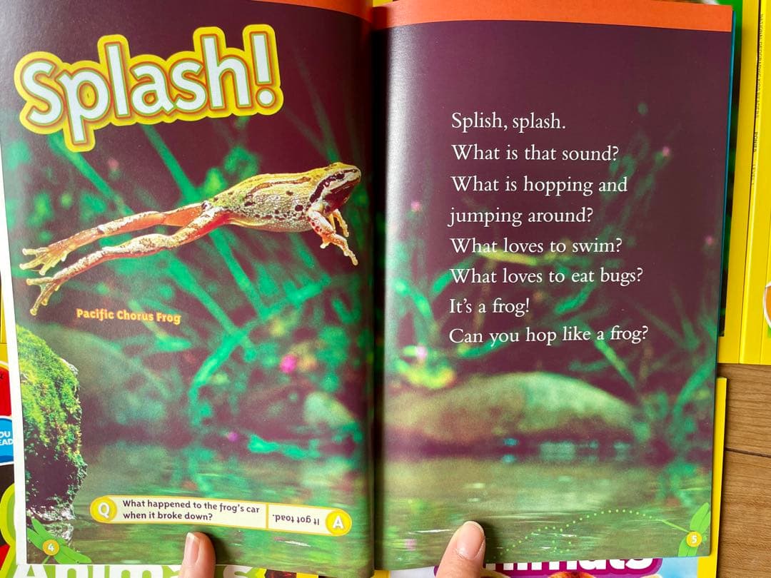 National Geographic Kids L1-3英語絵本125冊セット