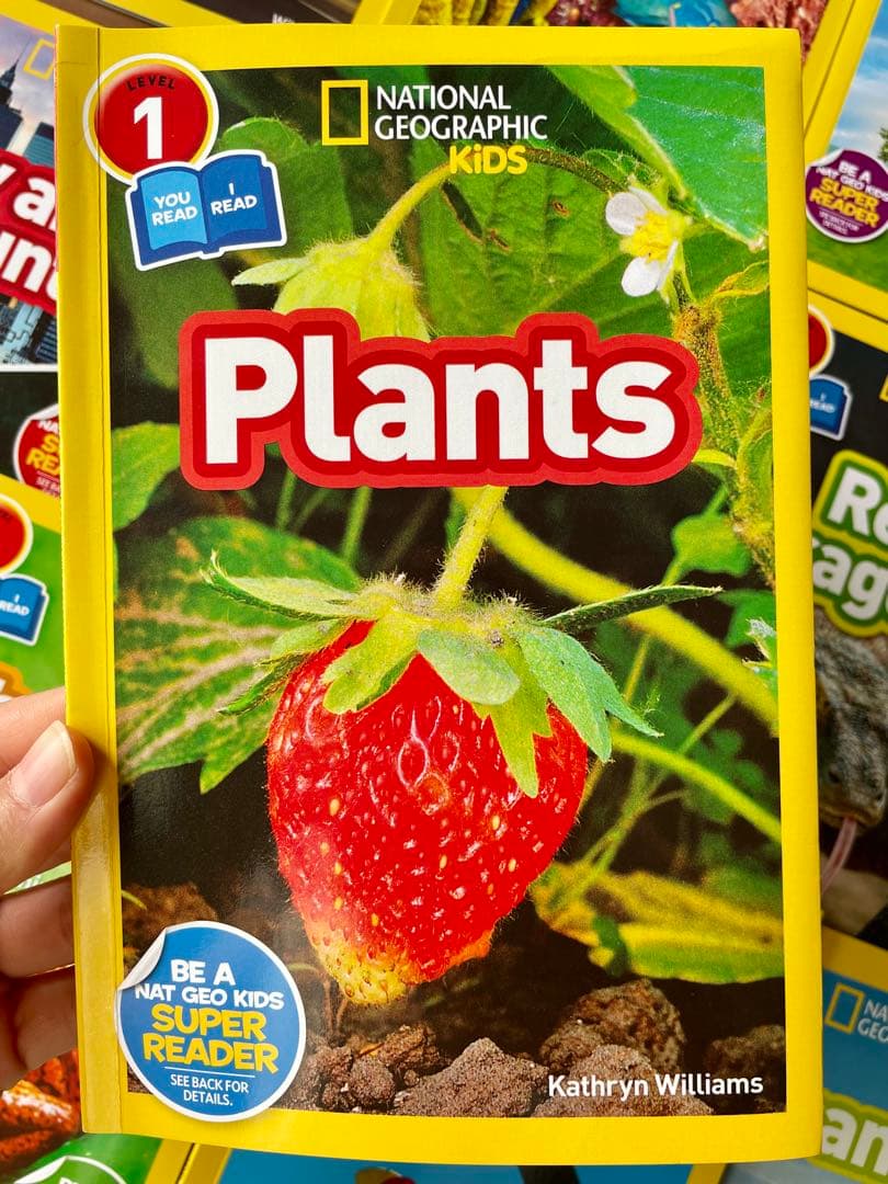 National Geographic Kids L1-3英語絵本125冊セット