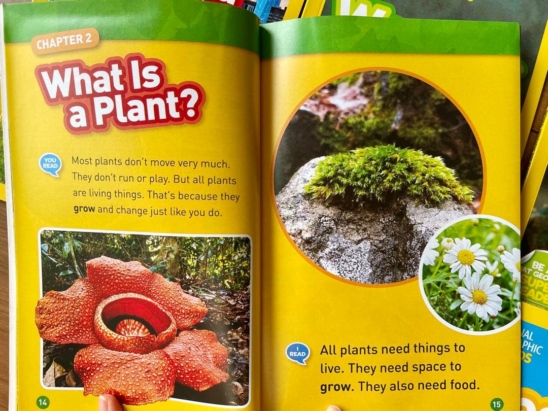 National Geographic Kids L1-3英語絵本125冊セット