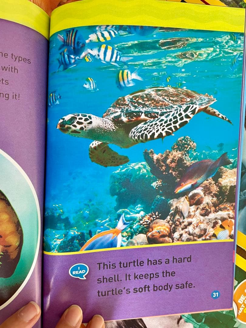 National Geographic Kids L1-3英語絵本125冊セット