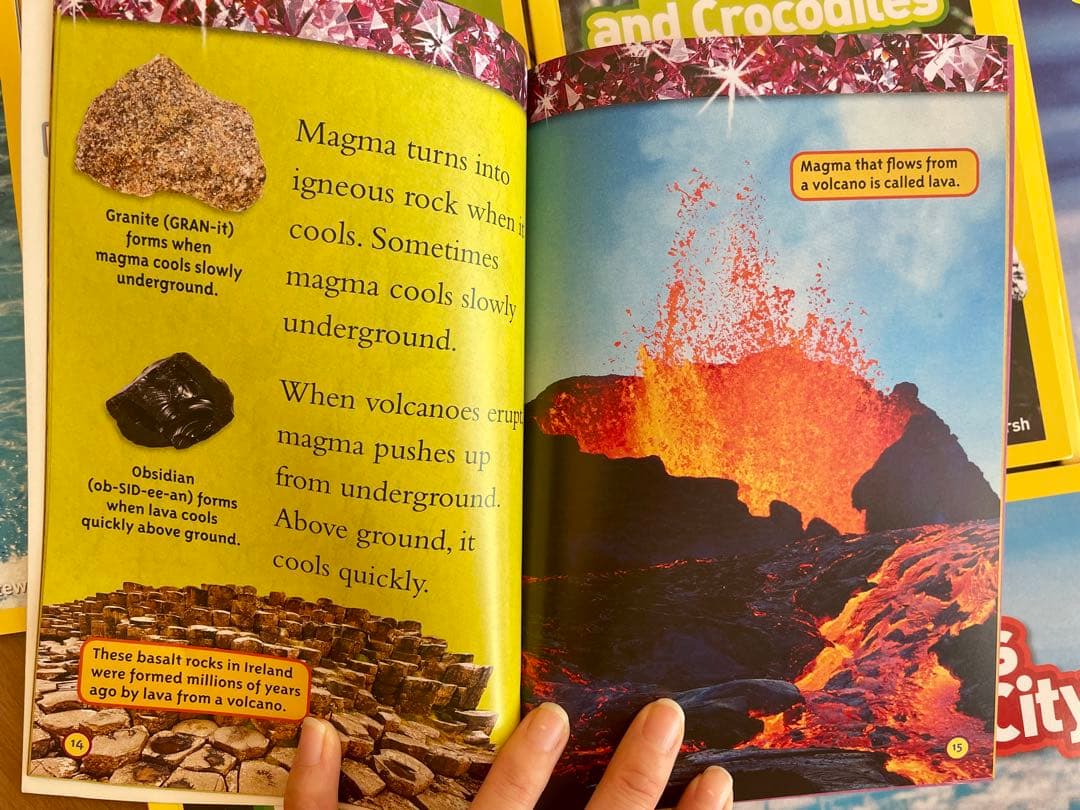 National Geographic Kids L1-3英語絵本125冊セット