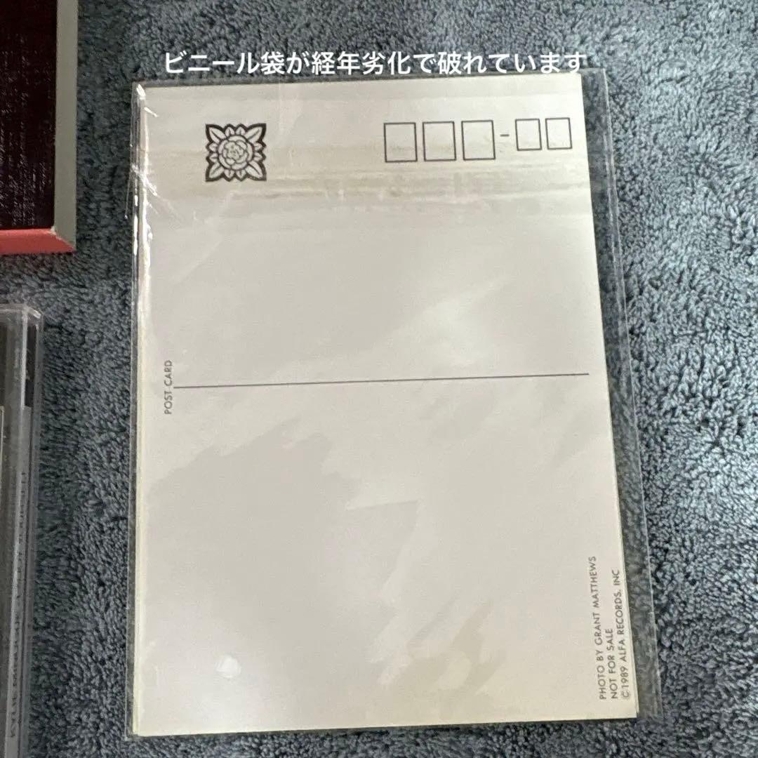 Kylie Minogue アルファ　pwl 7枚　cd