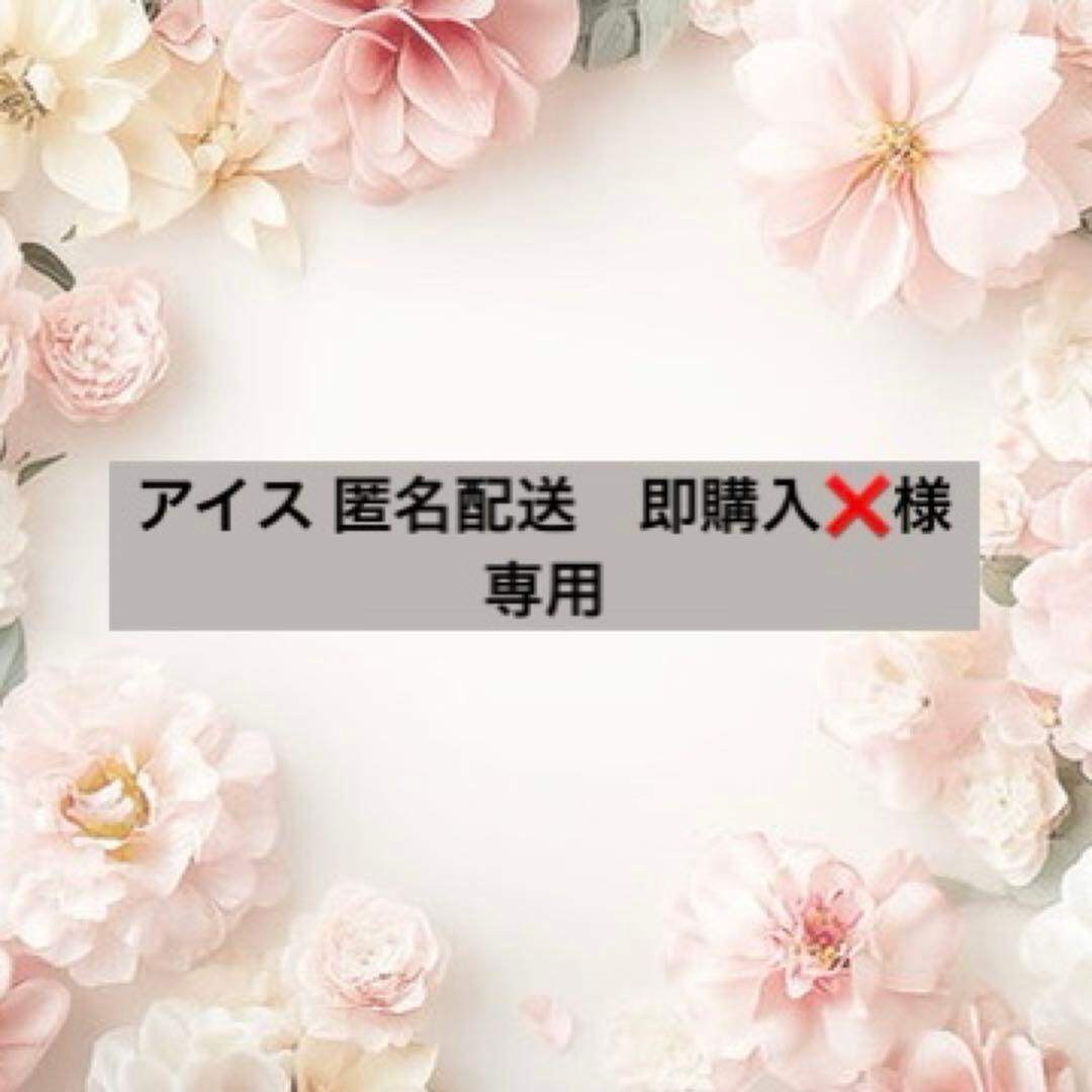 アイス 匿名配送　即購入❌