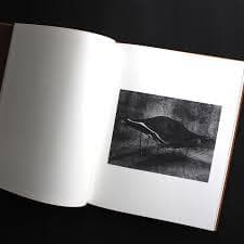 【 Paolo Roversi ：Poliform】新品・未開封品