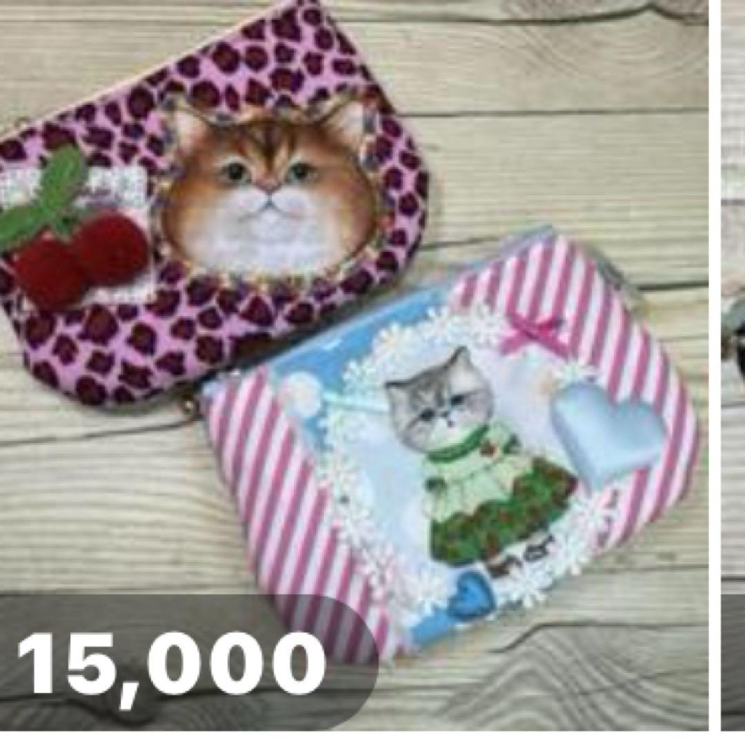 ゆきちゃん様054215 コヤンイサムチョン　フラットポーチ　サンダーちゃん