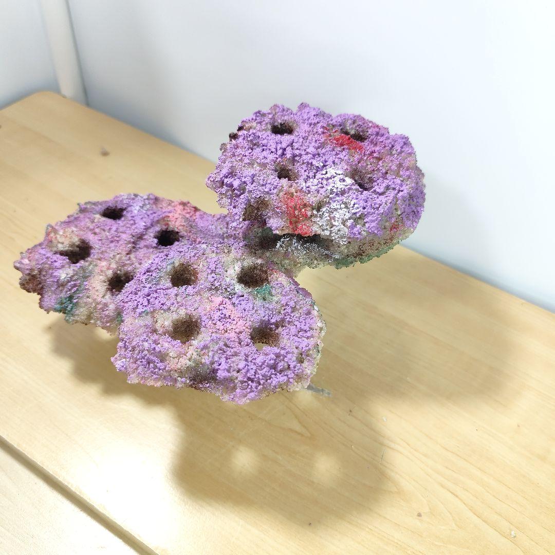 プラグ穴付き アク抜き不要人工ライブロック 海水水槽 レプリカ コーラルフラグ2