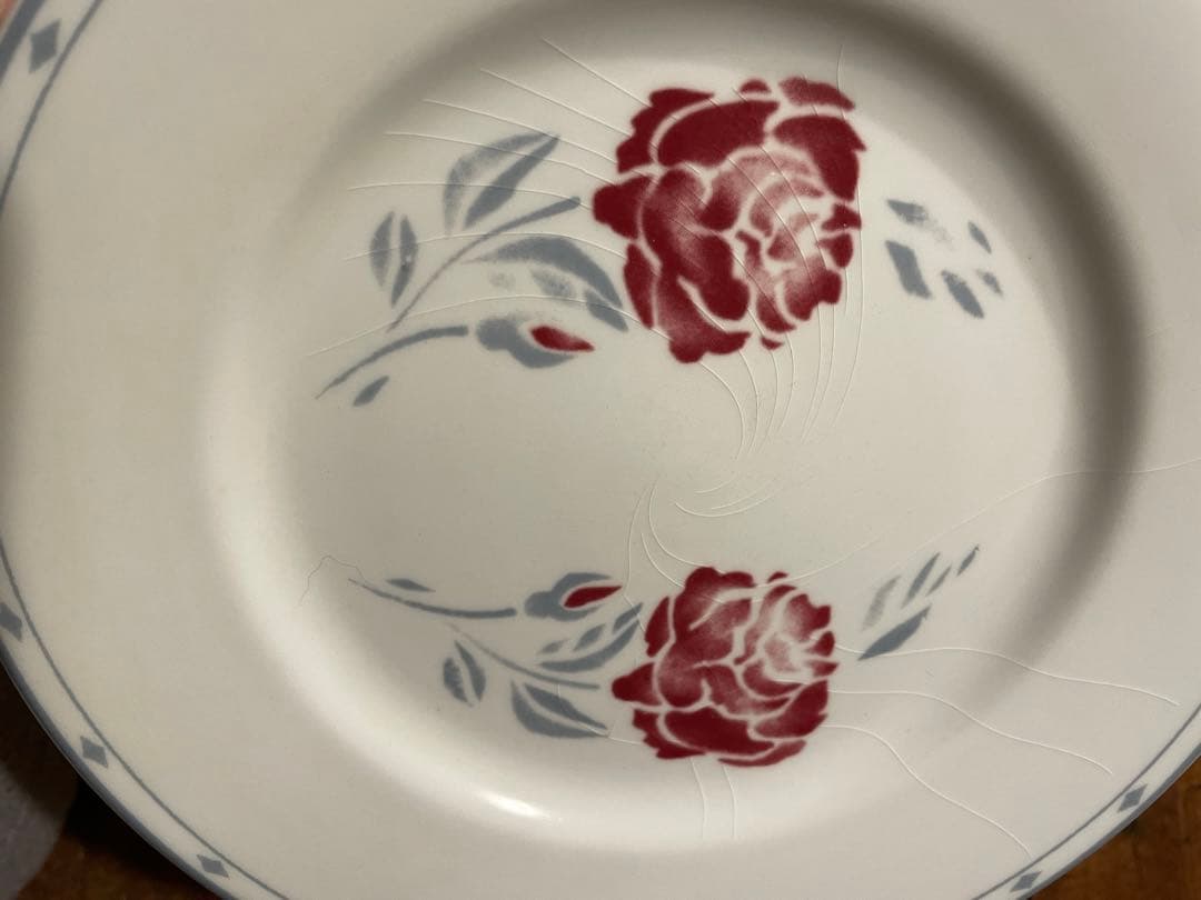 コントワールドファミーユ　お皿２枚セット