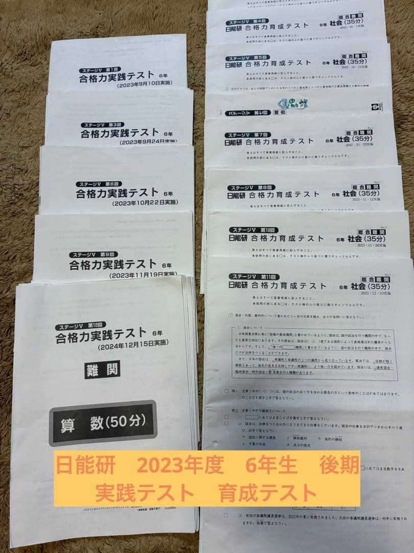 日能研　6年生　後期　実践テスト　育成テスト　2023年度　難関