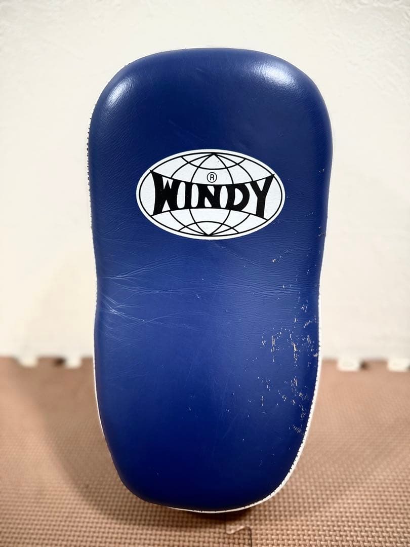 WINDY ウィンディKP-8 パンチ＆キックミット
