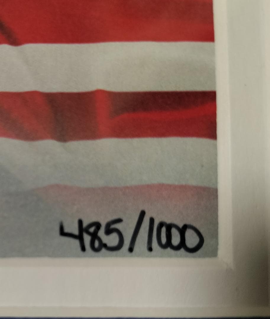 数量限定 MLB 大谷翔平 日米通算1000本安打記念ダブルフォトミント