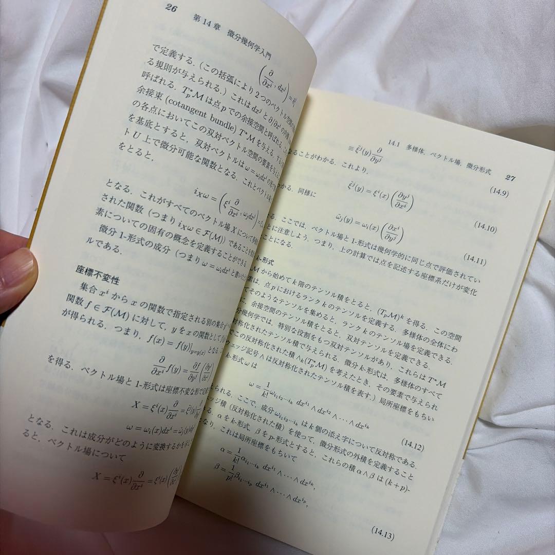 現代的な視点からの場の量子論 発展編