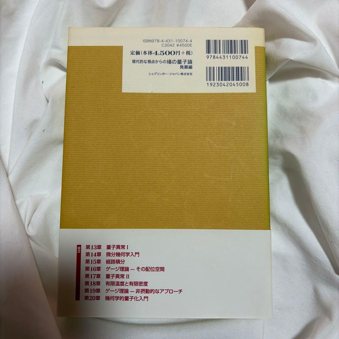 現代的な視点からの場の量子論 発展編