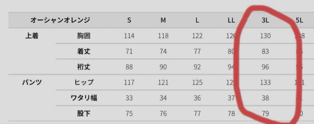 【オンライン完売品】ワークマン イージス オーシャン 上下セット　3L 美品