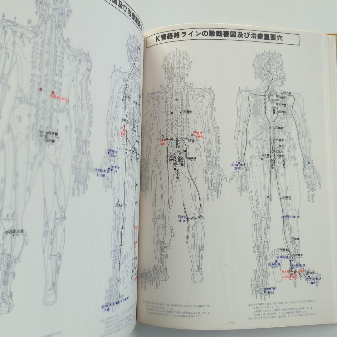 経絡五行理論 経絡ライン治療鑑別早見表 升水達郎・佐藤好司　第一書房